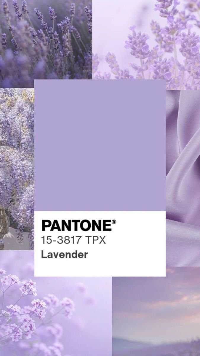 violet✧*｡ tweet media