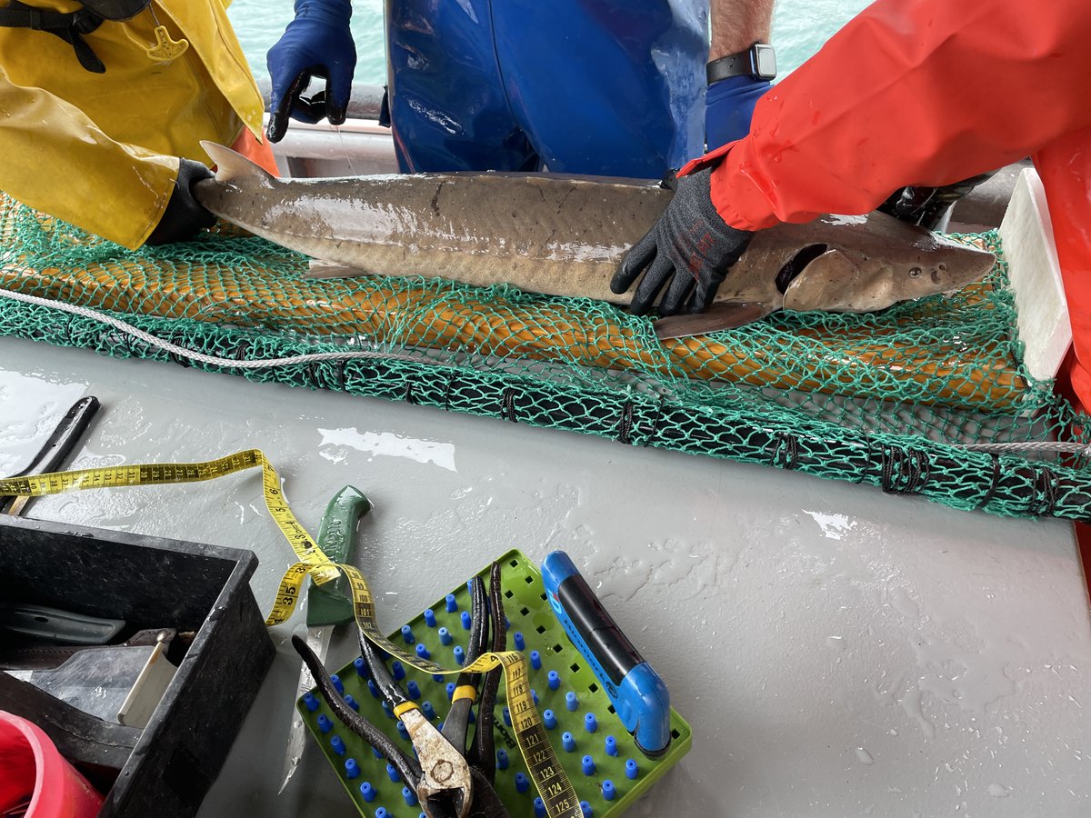 Andrew Briggs tweet media