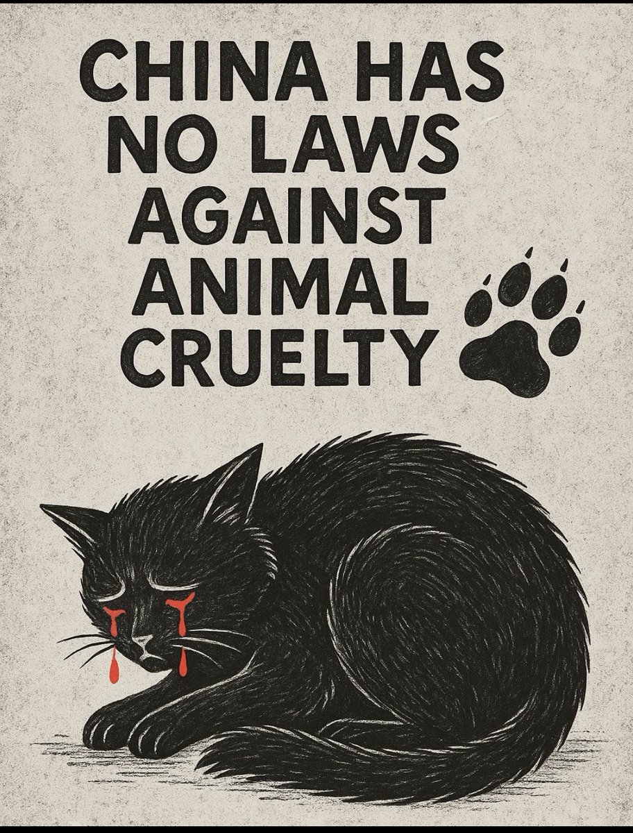 okyanustabuluut's tweet photo. The cruelty faced by cats in parts of China is heartbreaking and unacceptable. No animal deserves to suffer for human entertainment or profit. We must raise awareness and stand against all forms of animal abuse.
#BoycottChina #StopAnimalCruelty #SaveAnimals https://t.co/NAMxXZ606Z