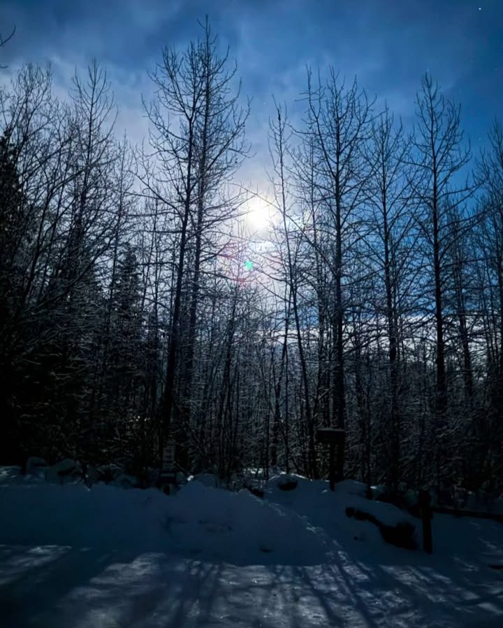 ariada_b's tweet photo. Near South Fork Eagle River 
📷 - Nicholas Bridges https://t.co/7D47qSwCON