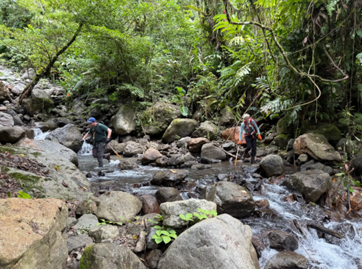 Momentum is building at the Kuma Property as we advance toward what may be a significant Cu-Au porphyry discovery.

The scale and potential of the system is significant, exciting times ahead!