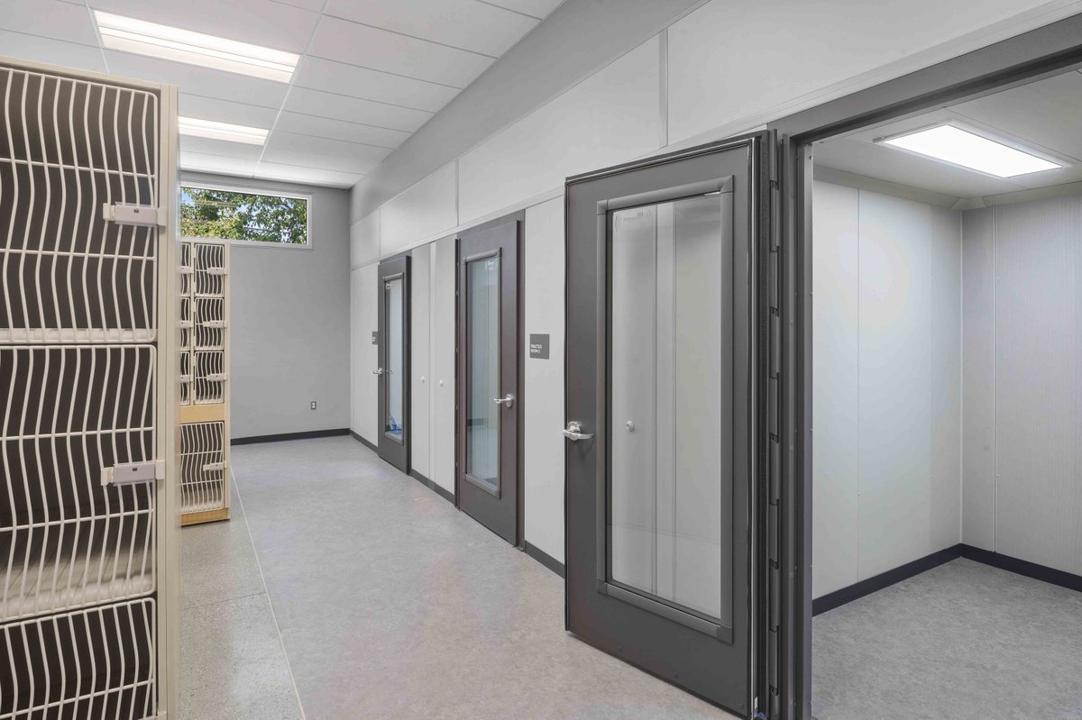 scbuildersinc_'s tweet photo. SC Builders completed a state-of-the-art Music Building at Monta Vista High School with a full interior renovation and new addition. Features include enhanced acoustics, modern AV, new roof and systems, plus practice studios and SoundLok chambers. #educational #scbuilders https://t.co/KOF53TX4vo