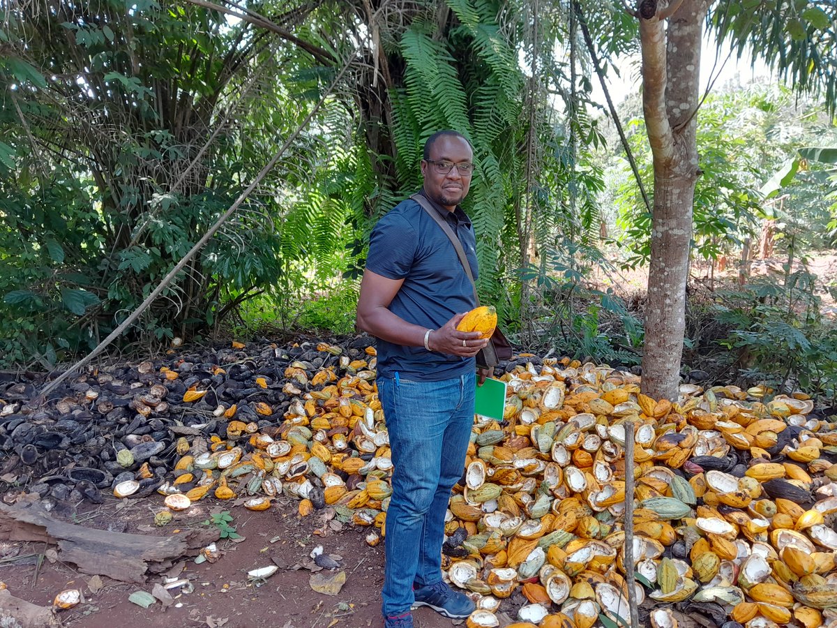 Rabdo Abdoulaye tweet media