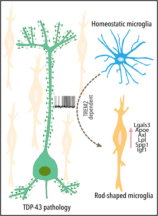 Waggoner Lab tweet media