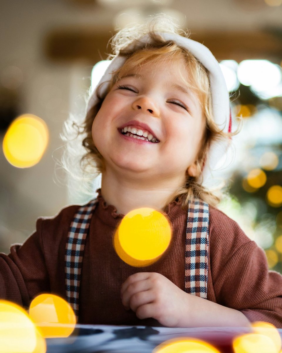 Books Are Fun tweet media