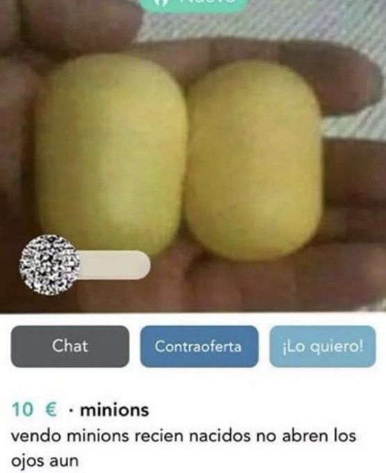 chincheto pirata somali (@wikipistacho) on Twitter photo 