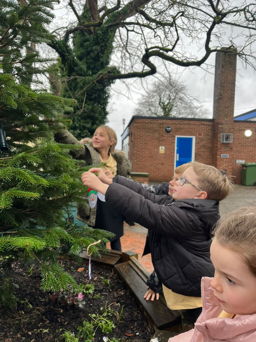 Springfield Primary tweet media