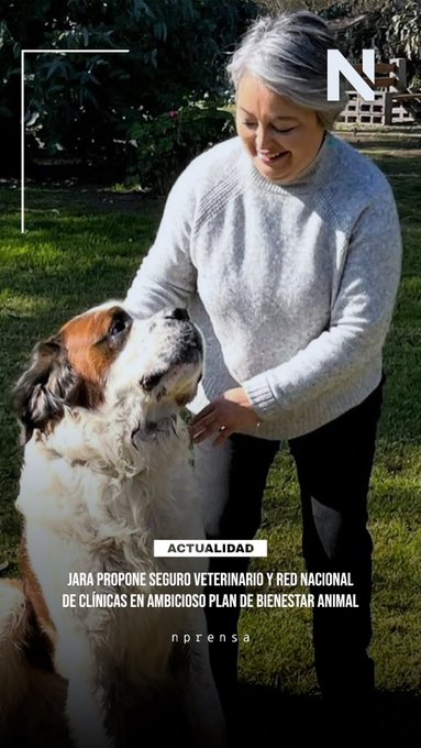 El " Fonasa " para mascotas en una maravillosa idea , hay tantas razones para votar por Jeannette Jara #votajara #Vota2VotaJara