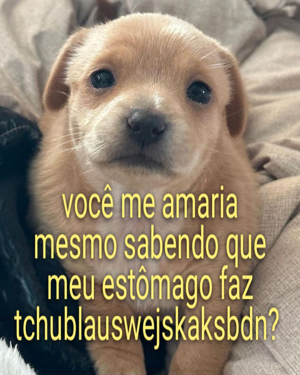 mel (@meltedvideos) on Twitter photo 