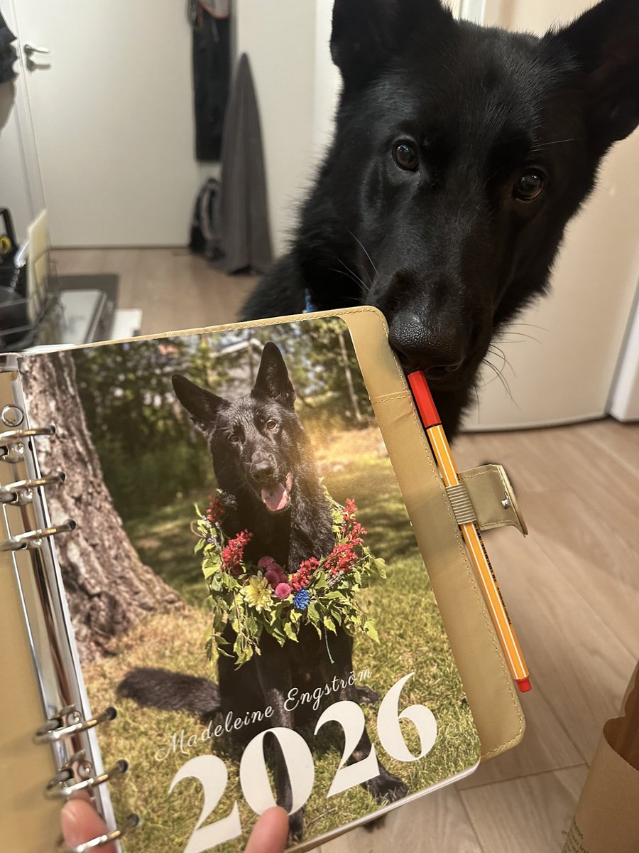 Madeleine tweet media