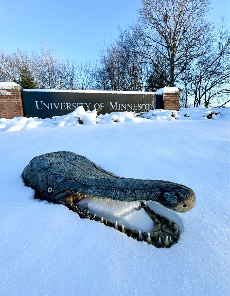 Dr. Solomon David tweet media