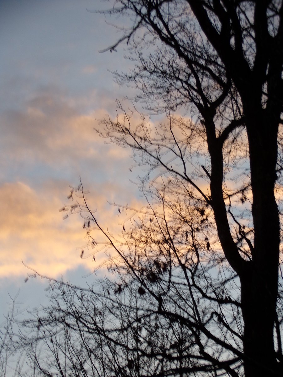 Douceur et Tendresse à l'infini...    📸
" L'essen Ciel "  au Pays de Marie...💙🩷