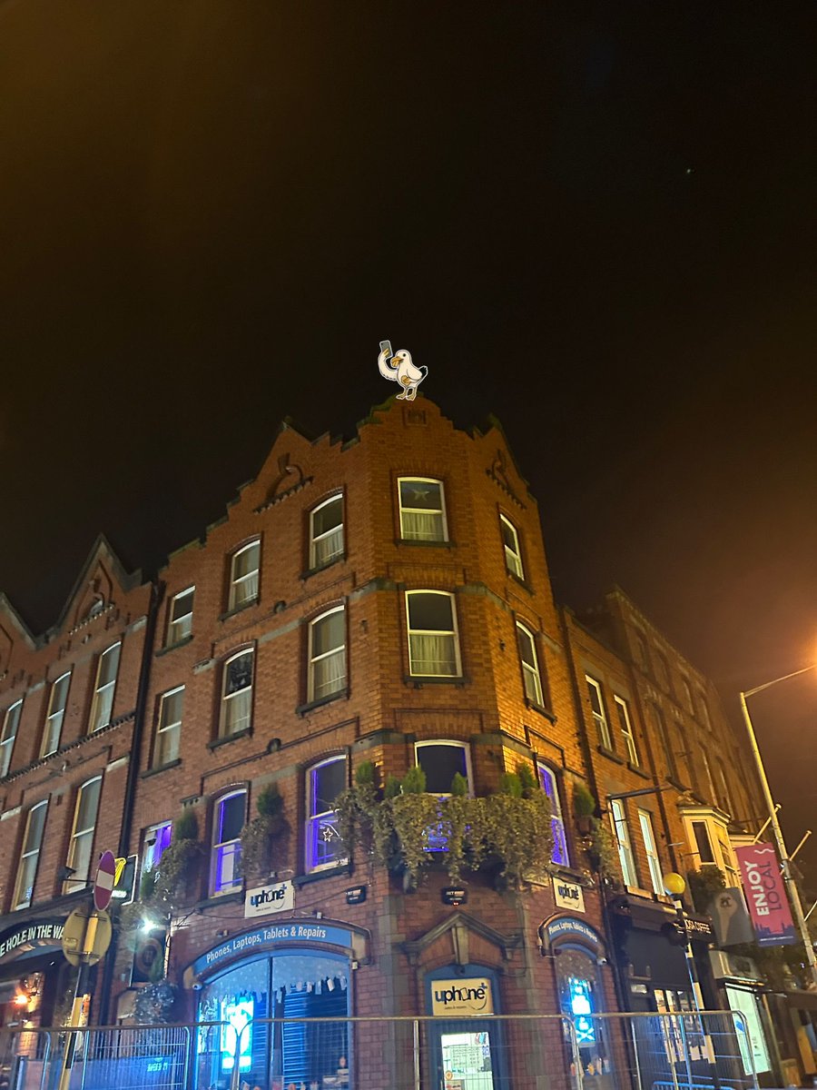 In a new development, the local  seagull population has been blamed for the collapse of West Street, Peter Street, Shop Street and Laurence Street in on top of themselves. Ethan Dominic, the local independent councillor blamed seagulls roosting on the decorations for the collapse