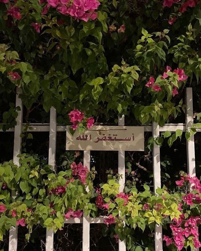 "اللهُم كُن لأُمنياتنا مُجيباً
 ولضُعفنا سنداً ولإنكسارنا جابِراً."                                                    🍃🍃🍃