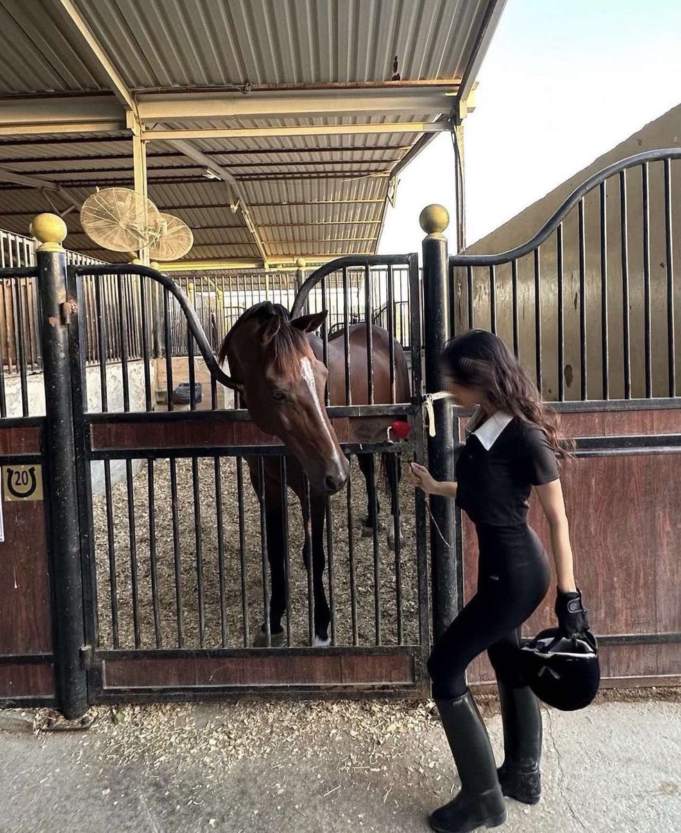 Diorgirlx's tweet photo. she loves horses https://t.co/vow3TiH419