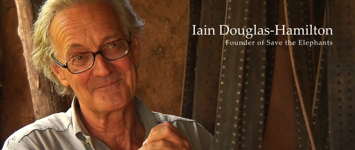 Moritz Zimmermann tweet media