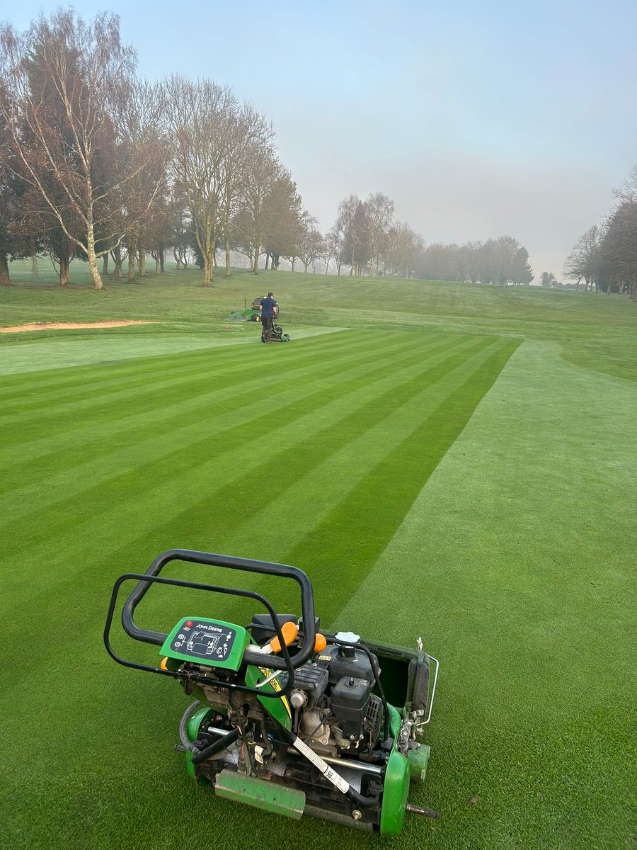 Billy Hayes tweet media