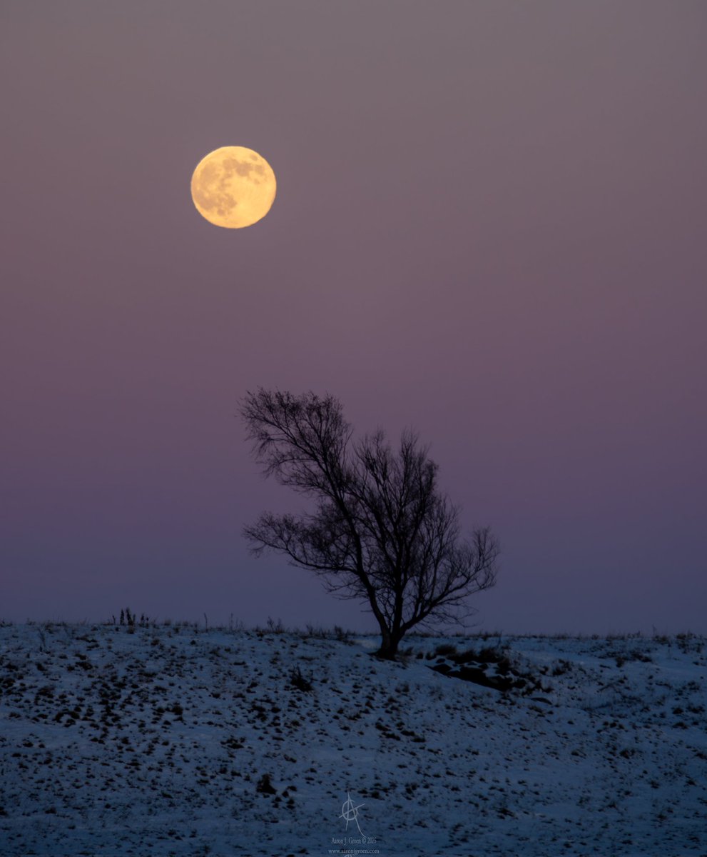 COLD #SUPERMOON  #SouthDakota Noem sayin?