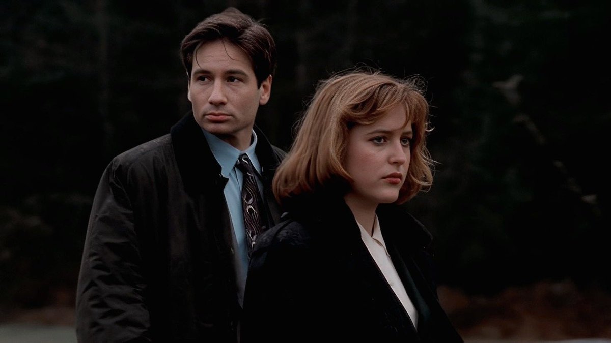 "Gender Bender"

The X Files 1x14