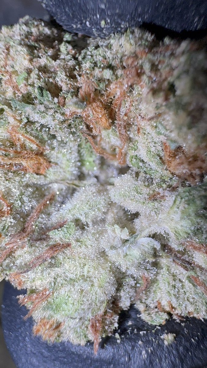 BakeBoxx tweet media