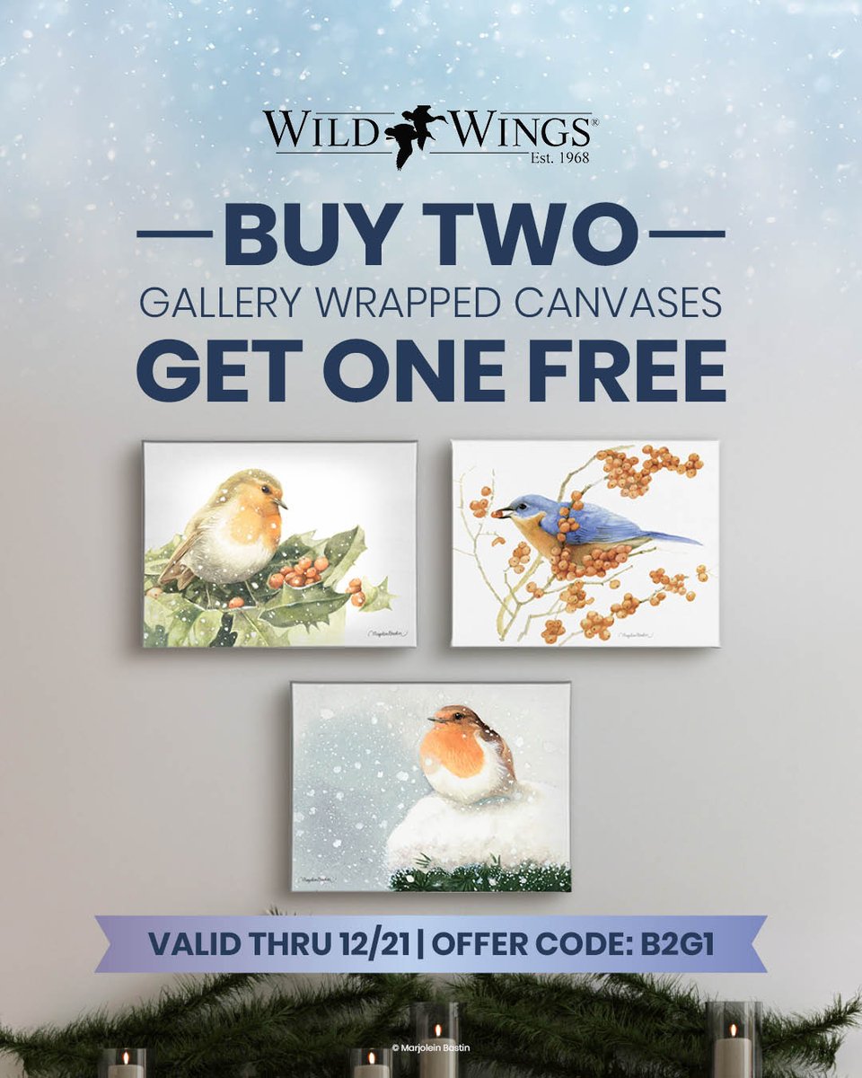 Buy 2, Get 1 FREE on Marjolein Bastin Gallery Wrapped Canvas through 12/21 with code B2G1. From delicate botanicals to sweet wildlife moments, her artwork makes a thoughtful gift!

👉 Shop the collection: ow.ly/pL6V50XGCGv

#WildWingsArt #MarjoleinBastin