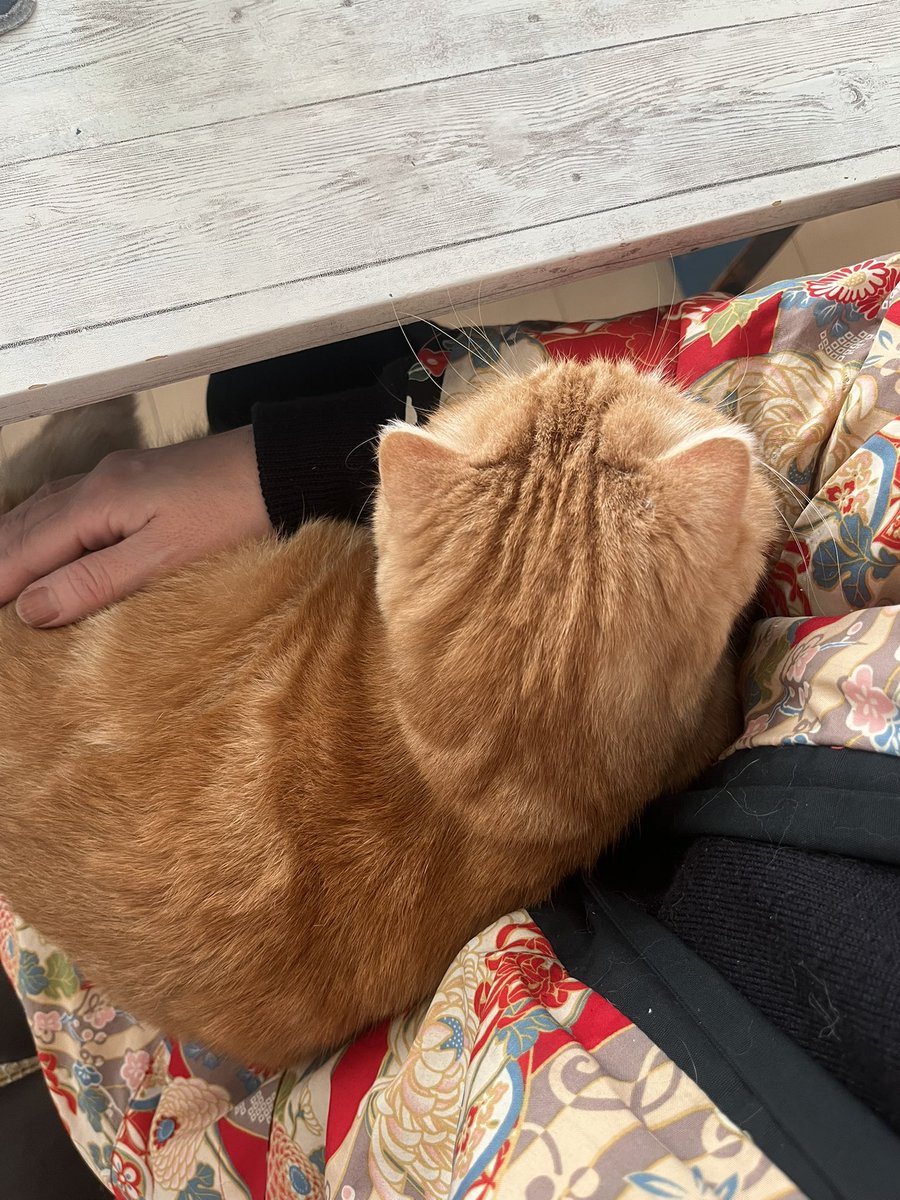 ゴエもん Size 8.5 - Kevin Lyons x adidas ZX 8000 Monster for sale online | eBay