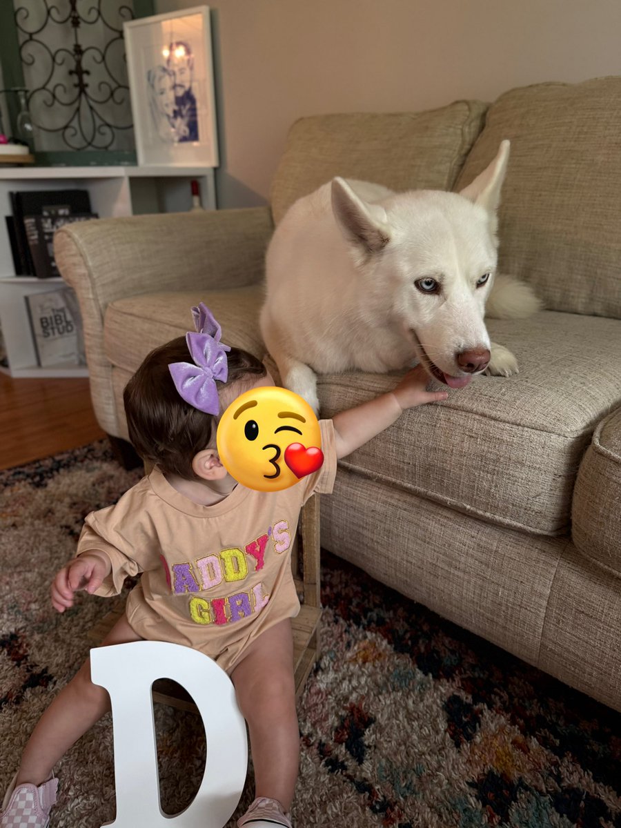 _aaace's tweet photo. @CodyRhodes @WWE @WWEShop @Fanatics Is there anyway for me to still buy the Pharaoh plush? I would love to get one for my baby for Christmas! Pharaoh looks just like her sissy, Luna ❤️💚 https://t.co/gDaCPNf3XP