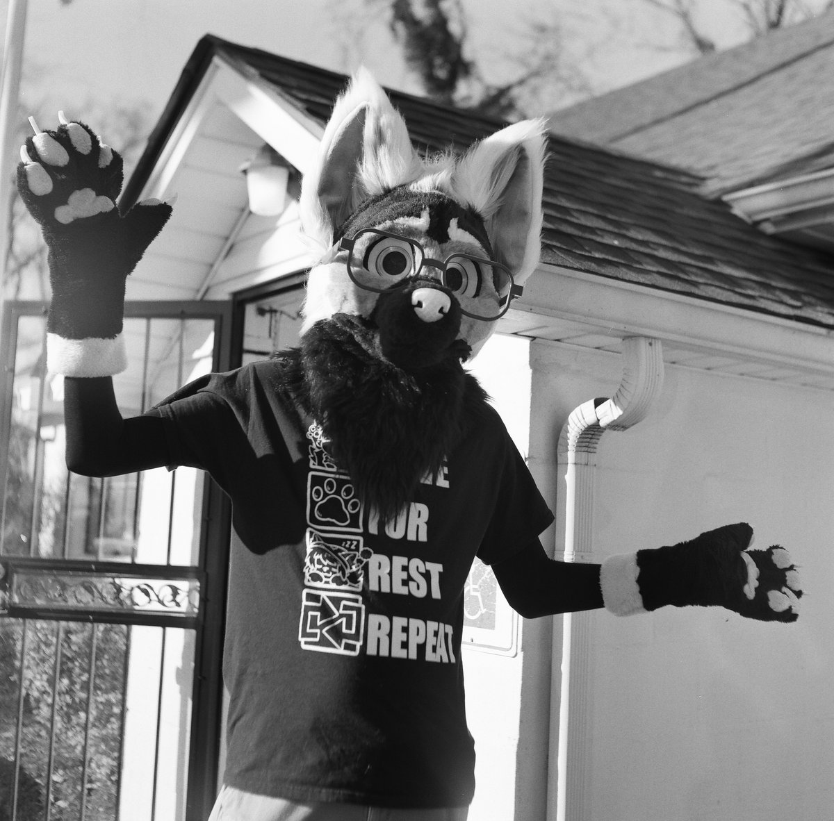 PossumPaisley's tweet photo. Thanksgiving Potluck Furs @MusicCityFurs 
1959 Yashica Mat LM with Ilford HP5 Plus film https://t.co/NOcIYm0Cb8