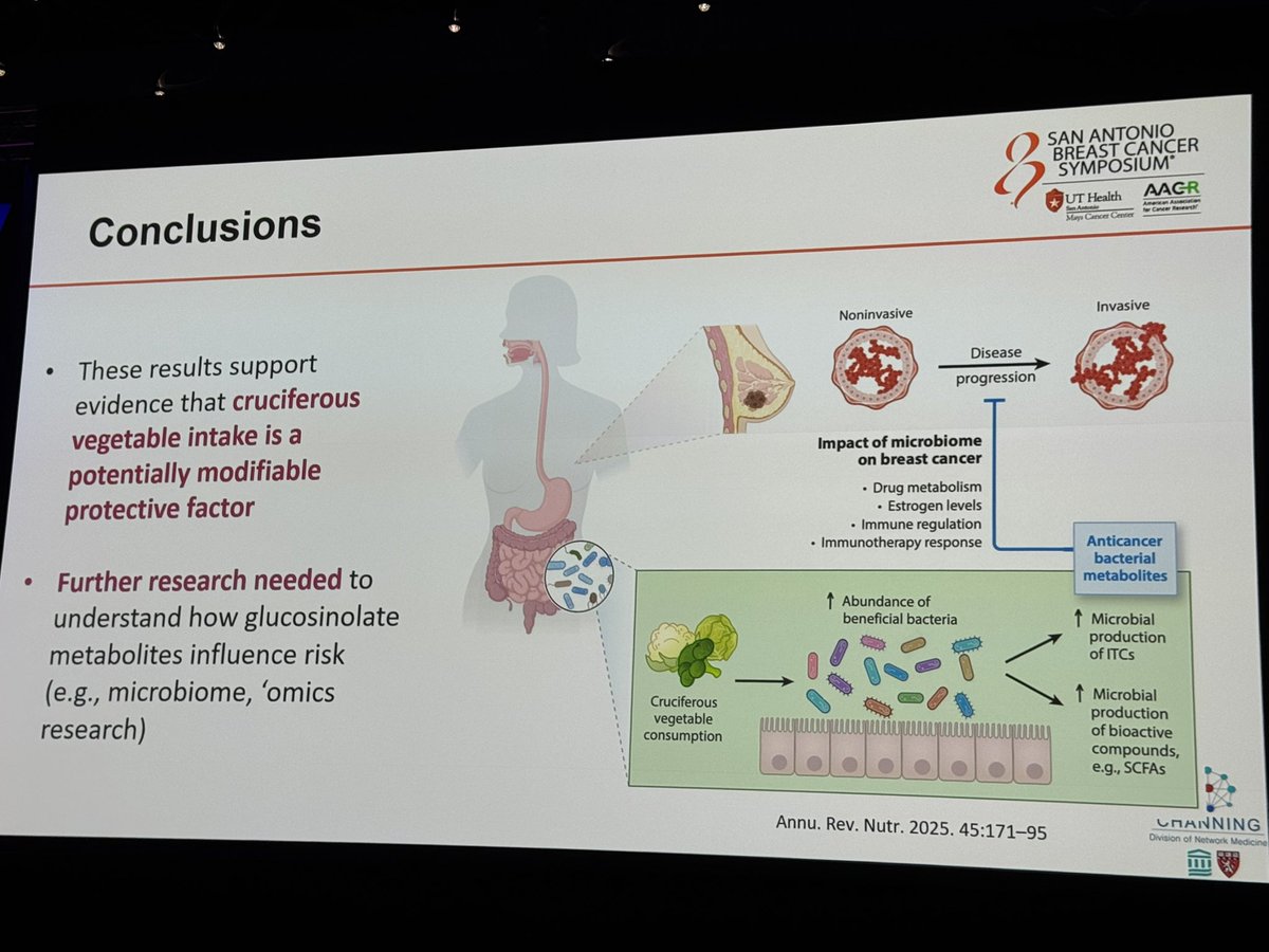 Armando Orlandi tweet media