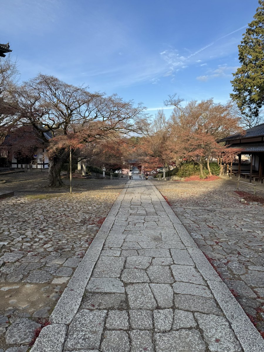 いもすけページ いもすけ (@imosuke24) / Posts / X