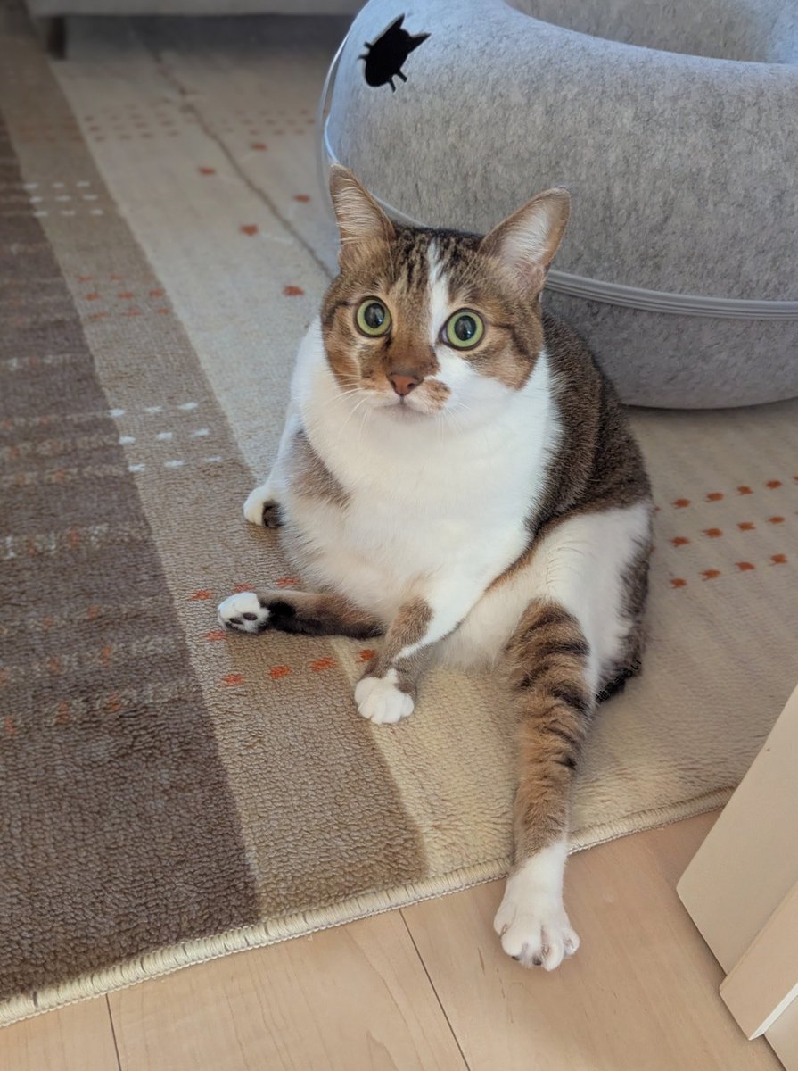 みみみちゃん (@mimimi______64) / Posts / X