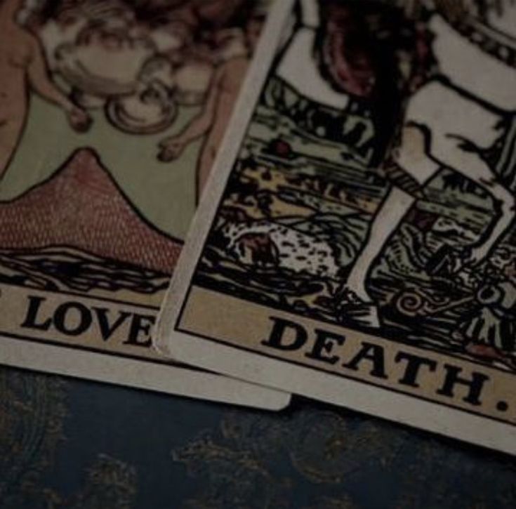 blackdreamvibes's tweet image. 