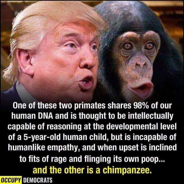 Paulintoronto47's tweet image. 