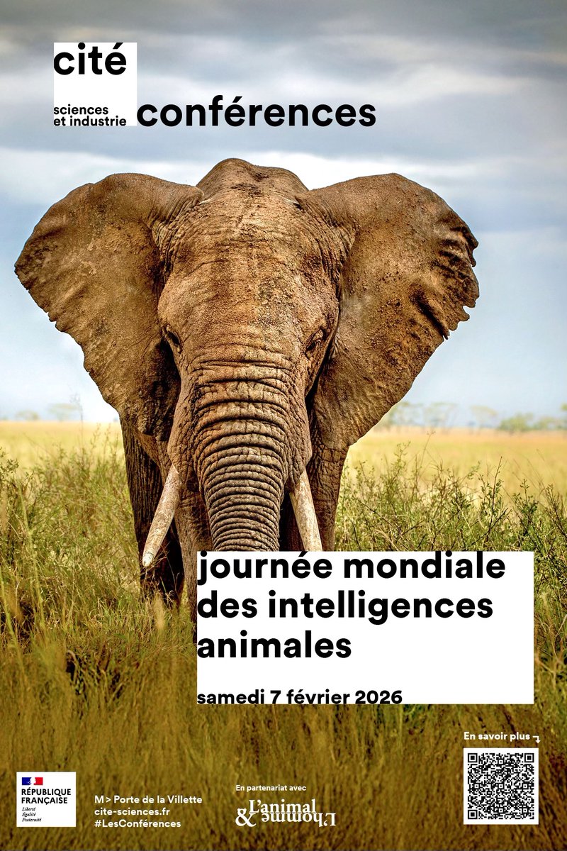 L'Animal & l'homme tweet media