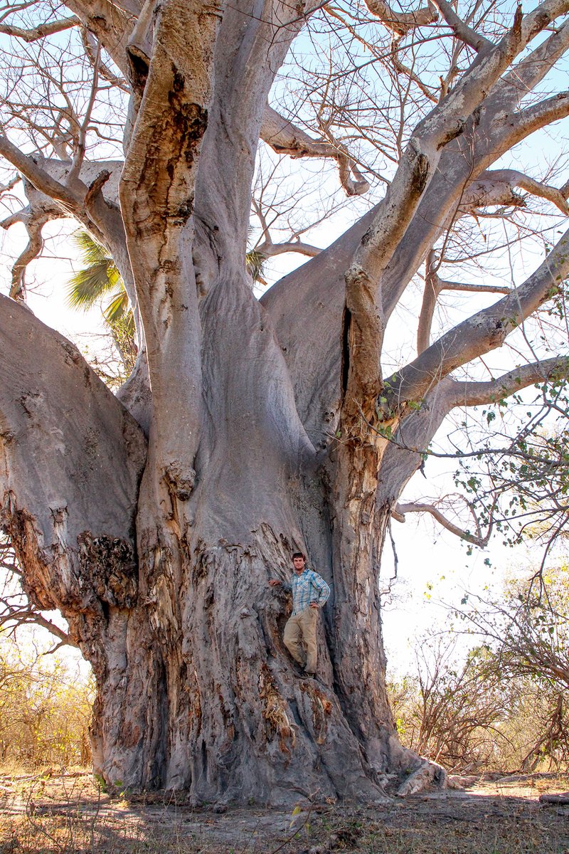 Mike Herring he/him tweet media