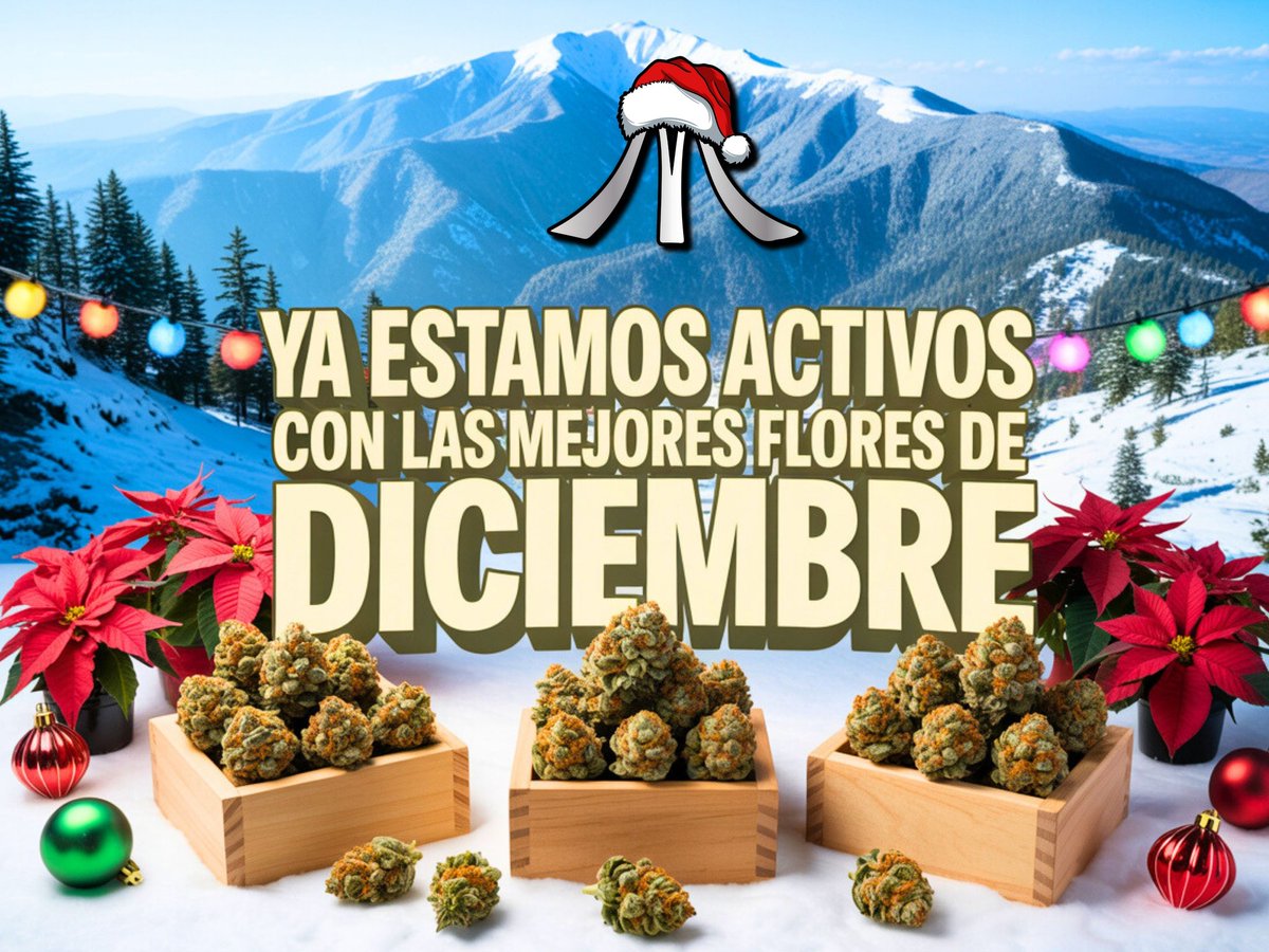 Cómo va su martes familia?🤠🥦
Recuerden anticipar sus pedidos está semana con su tío favorito! 🎅🏻🥦🎄🎇
Nuestro menú de diciembre tiene todo para pasarte relax estas fiestas! 🎁🔥
¿Vas a dejar perder más tiempo? 🇲🇽📩
#420Community #Mexico #Navidad 
#McCoffee #CannabisMx #420mx