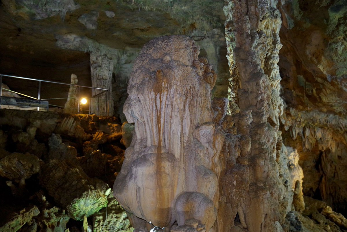 カリフラワー状な鍾乳石 #石垣島鍾乳洞