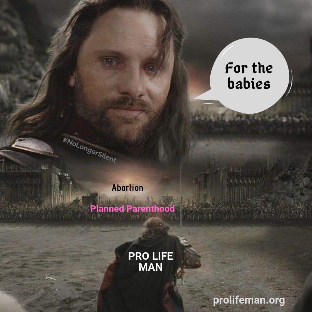 Pro_Life_Man's tweet photo. For the babies! #lotr #aragorn #life #prolife #courage #men #love #probaby #prohuman https://t.co/ehptoF7YlU
