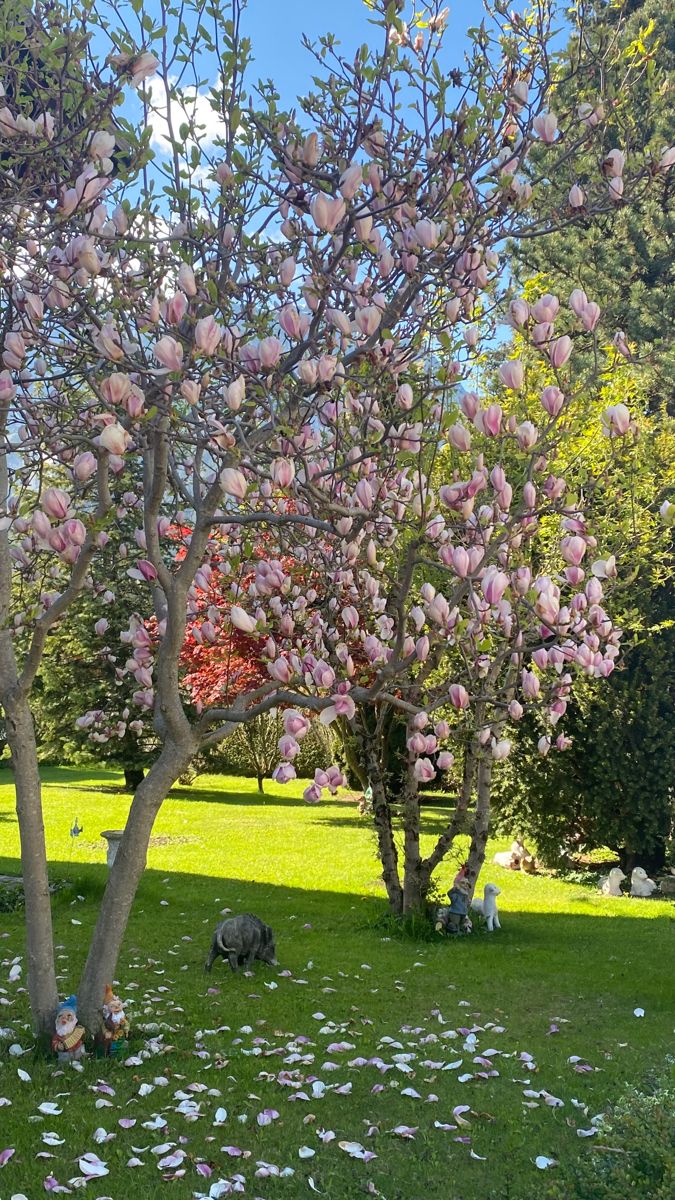 greenvibe's tweet image. 