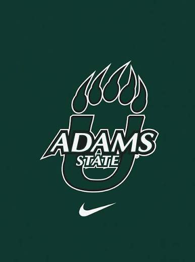 Brayden Stevens QB Liberty (AZ) tweet media