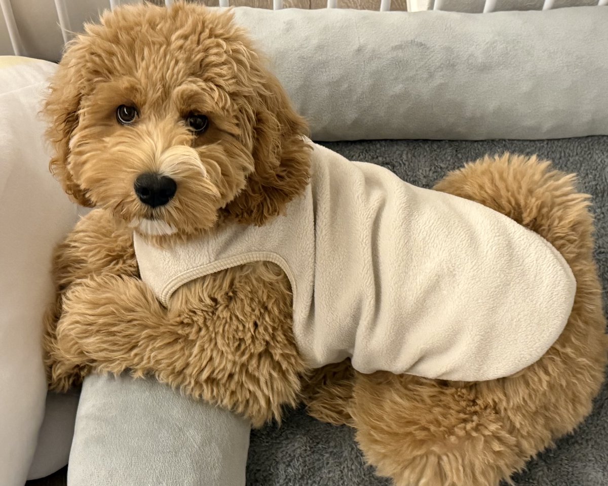 おはようございます！ホントに今年も残り少し。来年に向けて目の前のことにコツコツ向き合います！