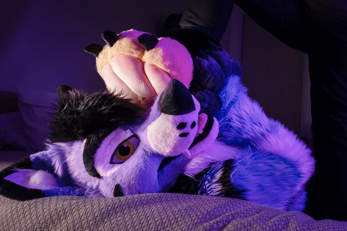 gray_awoo's tweet image. who's the real pawbert now?

🐾🫘 @WardDawggy