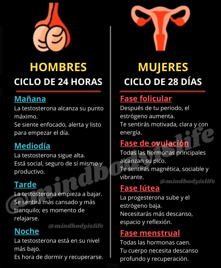 MindBodyIsLife's tweet photo. CICLO HORMONAL DE HOMBRES Y MUJERES

HOMBRES – CICLO DE 24 HORAS

MAÑANA
La testosterona alcanza su punto máximo.
Se siente enfocado, alerta y listo para empezar el día.

MEDIODÍA
La testosterona sigue alta.
Está social, seguro de sí mismo y productivo.

TARDE
La testosterona empieza a bajar.
Se sentirá más cansado y más tranquilo; es momento de relajarse.

NOCHE
La testosterona está en su nivel más bajo.
Es hora de dormir y recuperarse.

MUJERES – CICLO DE 28 DÍAS

FASE FOLICULAR
Después de tu periodo, el estrógeno aumenta.
Te sentirás motivada, clara y con energía.

FASE DE OVULACIÓN
Todas las hormonas principales alcanzan su pico.
Te sentirás magnética, sociable y vibrante.

FASE LÚTEA
La progesterona sube y el estrógeno baja.
Necesitarás más descanso, espacio y reflexión.

FASE MENSTRUAL
Todas las hormonas caen.
Tu cuerpo necesita descanso profundo y recuperación.