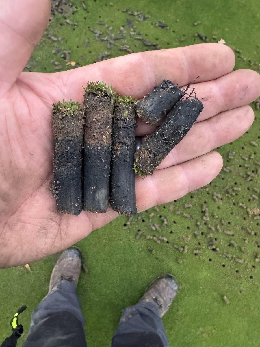 David A Byron tweet media