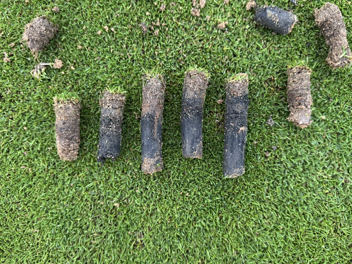 David A Byron tweet media