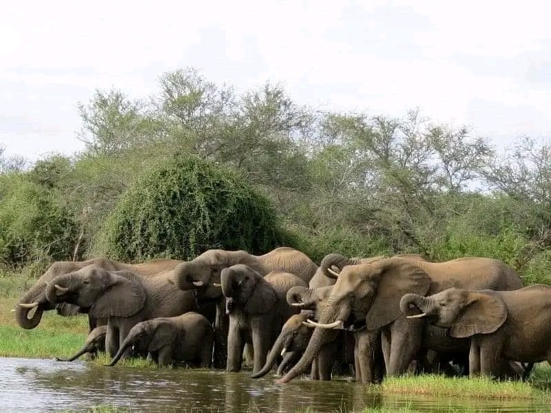 Favour FM 104.1 tweet media