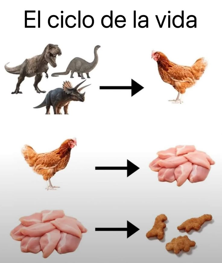 itsD3lay🐧 (@itsd3lay) on Twitter photo 