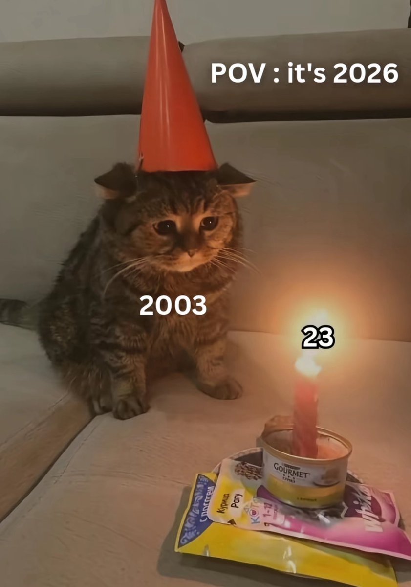 Lulyy👩🏻‍💻🎓 tweet media