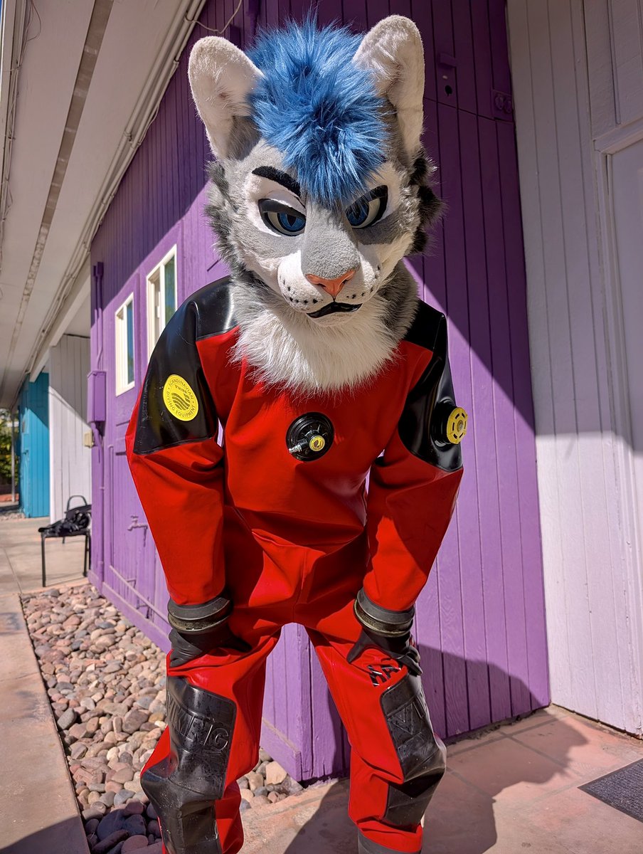 Kitty in the rubber Viking drysuit is ready to pounce~

📸 <a href="/Squawk_the_Jay/">Squawk (are birds even real?) 🔜 COG (A)</a>