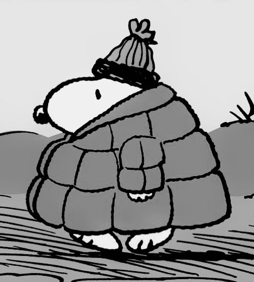 eddiebrcok's tweet image. 